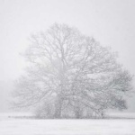 image of blizzard