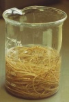 image of beaker