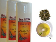 image of lotion