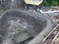 image of pond