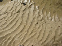 image of texture