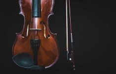 image of violin