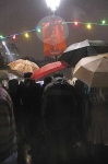 image of umbrella