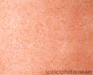 image of texture