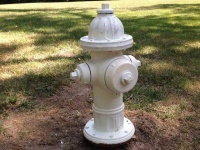 image of fire_hydrant