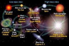 image of star
