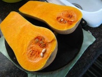 image of butternut_squash #1