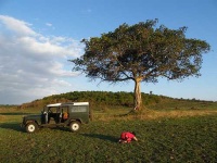 image of jeep_car