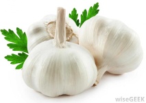 image of garlic #34