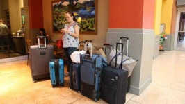 image of suitcase