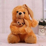 image of teddy_bear