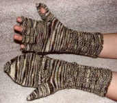image of mitten