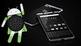 image of blackberry