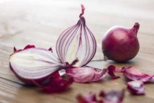 image of onion #12