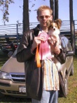 image of papillon