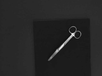 image of curved_scissor #7