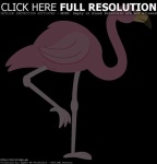 image of animal