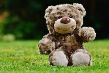 image of teddy_bear