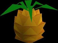 image of pineapple