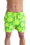 image of green_shorts #9