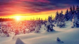 image of tundra