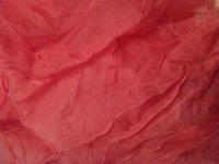 image of velvet