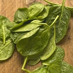 image of spinach #23