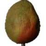 image of fruit