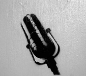 image of microphone