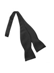 image of bowtie