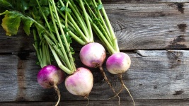 image of turnip #7