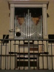 image of organ #5