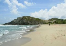 image of seashore
