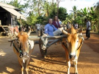 image of oxcart