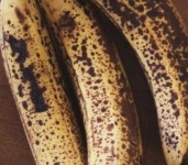 image of texture