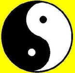 image of yin_yang