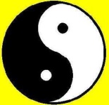 image of yin_yang #40