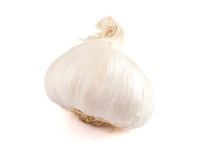 image of garlic #13