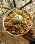 image of biriyani #0