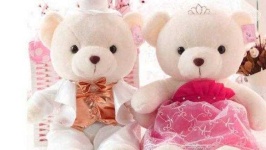 image of teddy_bear