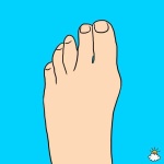 image of toe #29