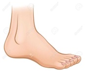 image of foot #2