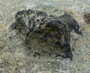 image of texture