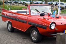 image of amphibian