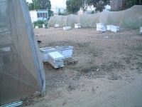 image of apiary