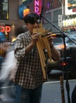 image of panpipe