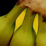 image of banana #4