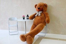 image of teddy_bear