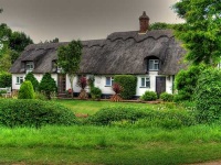 image of thatch
