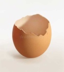 image of egg_shell #3